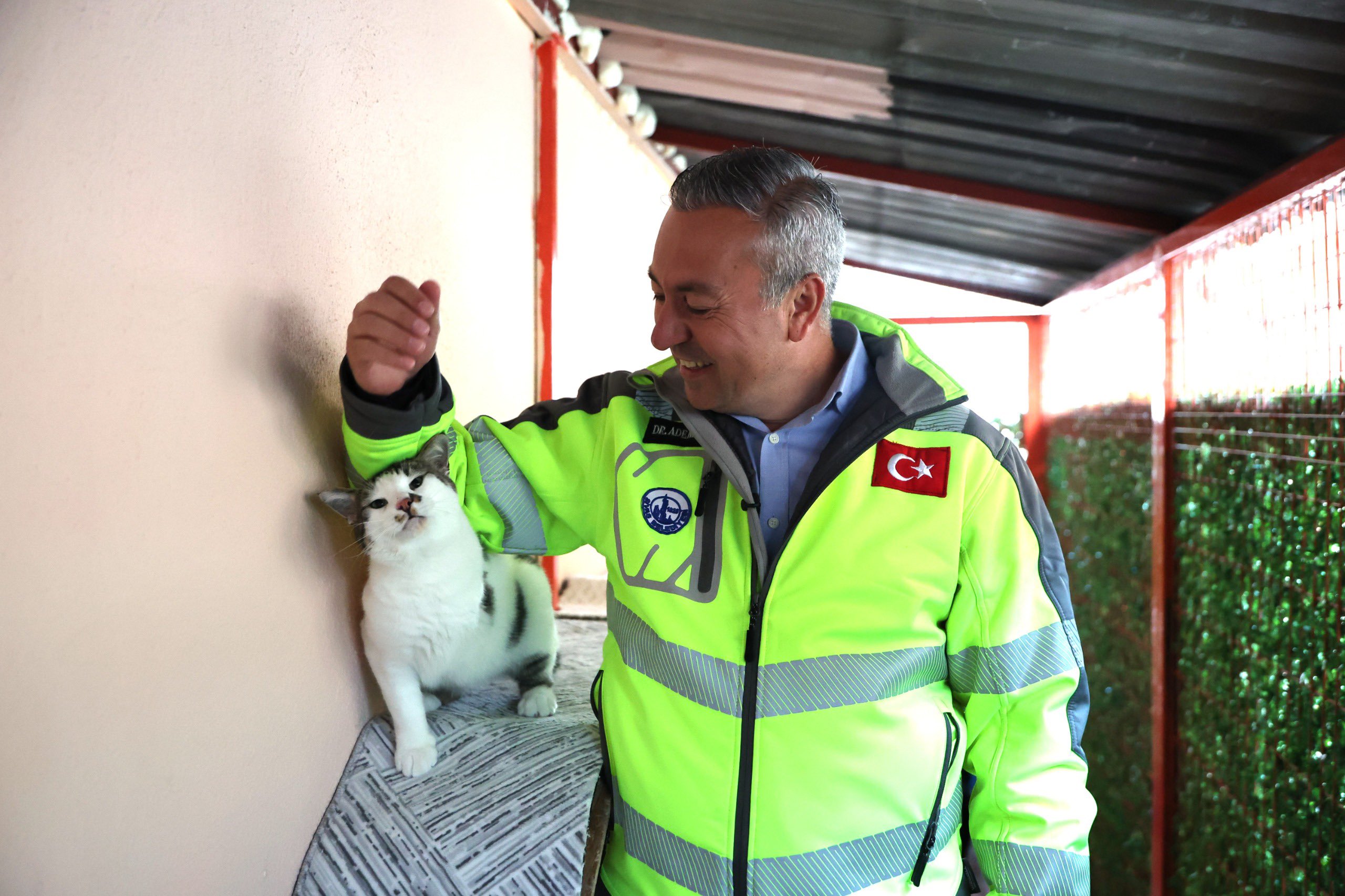 Sivas Belediyesi sokak hayvanları merkezini baştan aşağı yeniledi