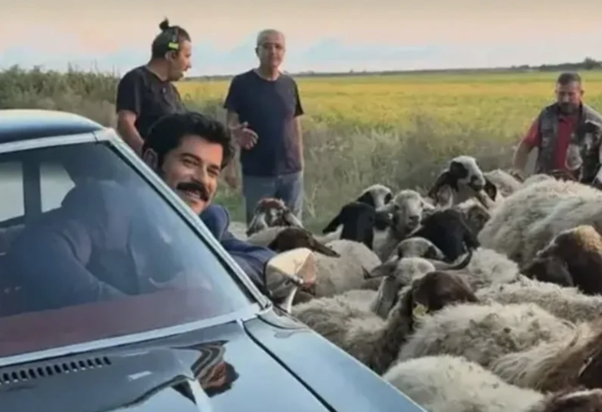 Burak Özçivit Koyunlarla Poz Verdi!
