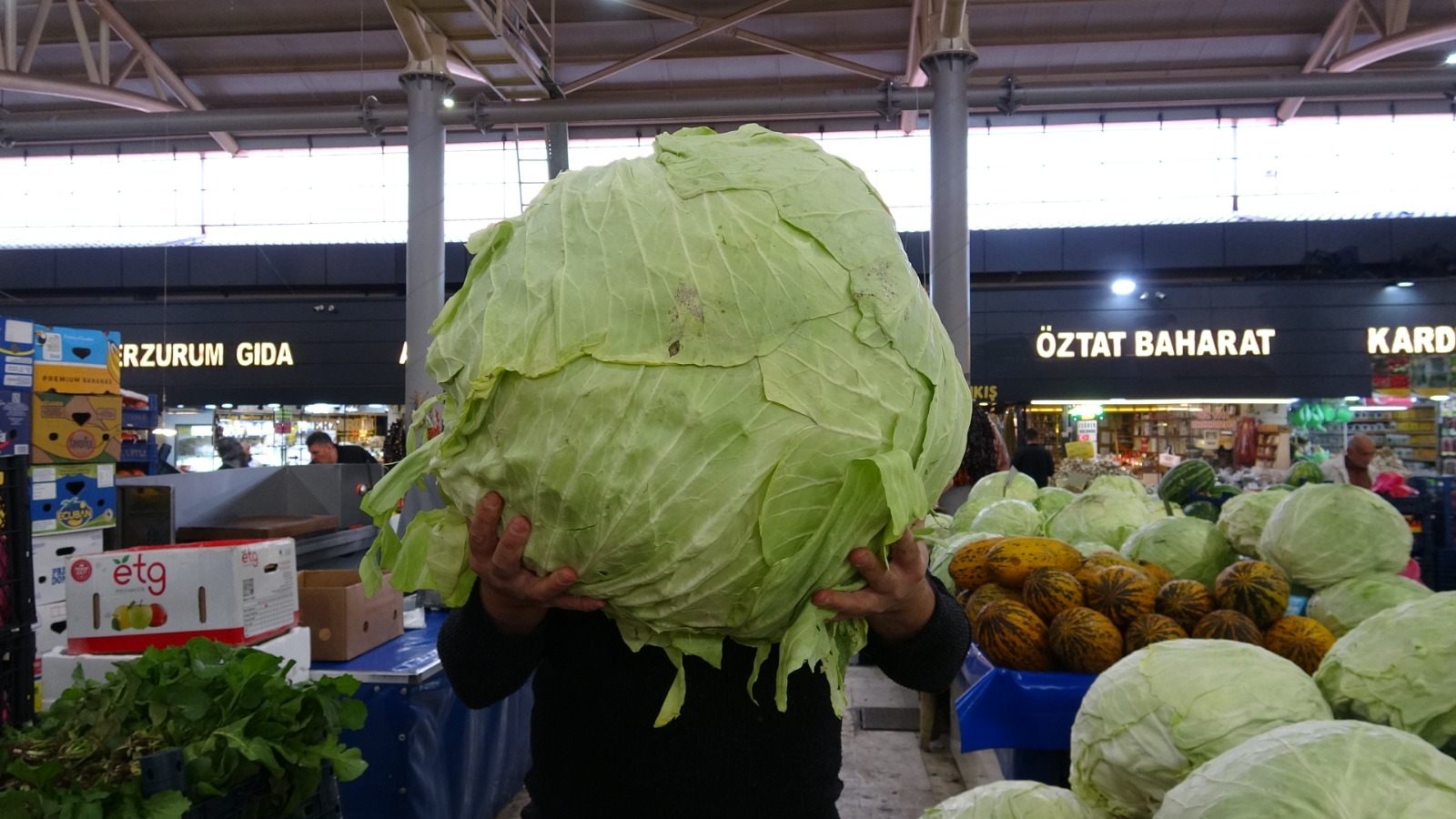 Ağırlığı 33 kiloyu buluyor! Sivas lahanası tezgâhlardaki yerini aldı...
