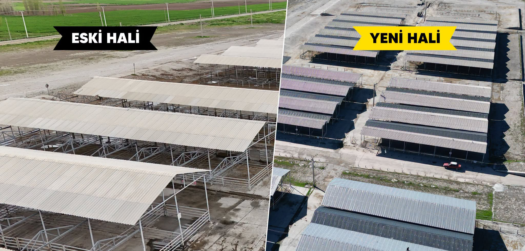 Şarkışla Hayvan Pazarı baştan aşağı yenilendi! İşte pazarın son hali!
