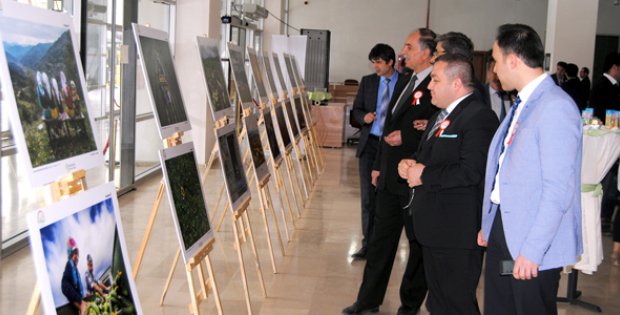 Tarımın Sanat Hali