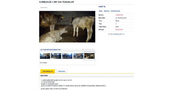 Kurbanlıklar İnternet Ortamında