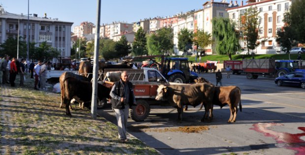 Kurban Bayramı Böyle Geçti