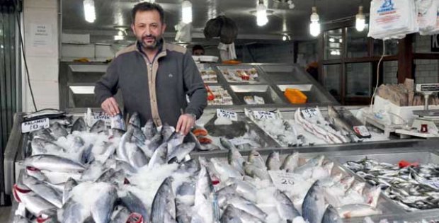 Balıkçı Tezgahlarında Palamut Bolluğu