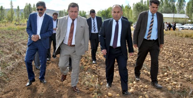 Patates Üretimi İyi Ama Soğuk Hava Deposu Gerekiyor