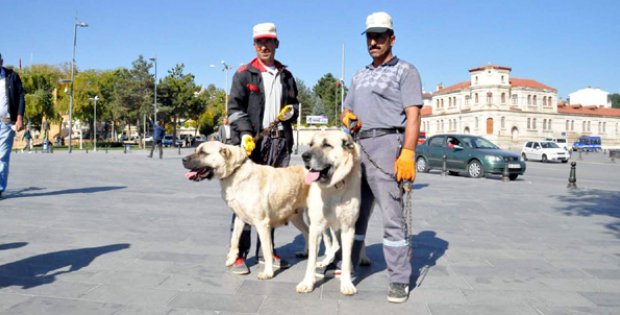 Amaç Hayvanları Halka Sevdirmektir