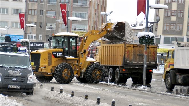 Beyaz Sürpriz