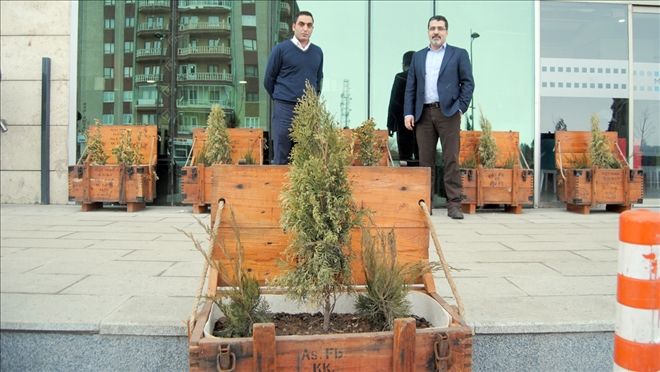 Mühimmat Sandıklarında Barış Fidanı Yetişiyor