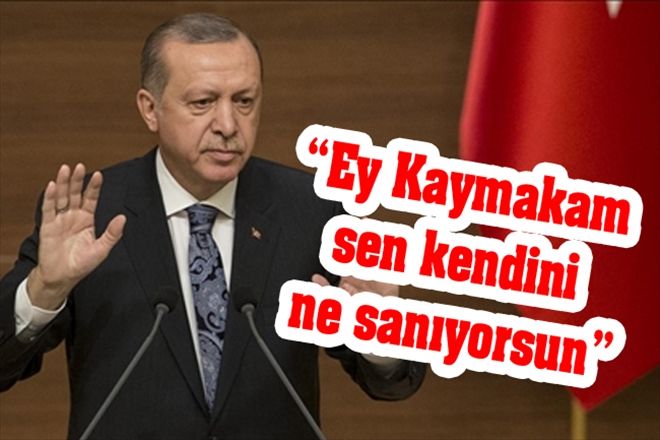 Ey Kaymakam sen kendini ne sanıyorsun