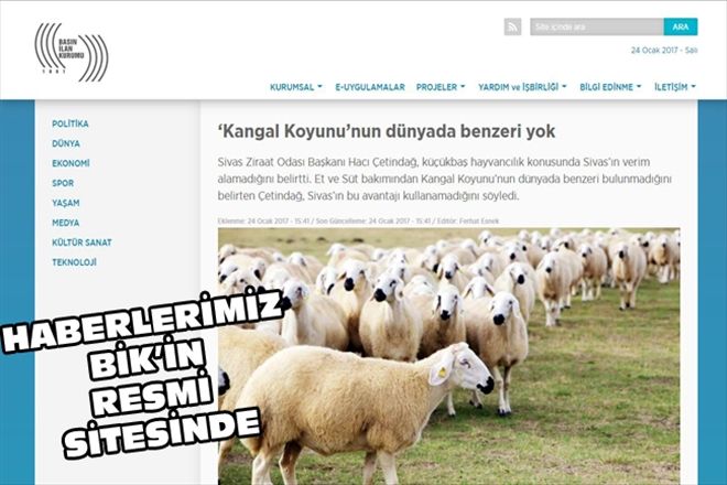HABERLERİMİZ BİK´İN RESMİ SİTESİNDE