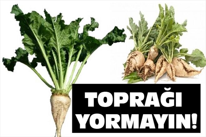 TOPRAĞI YORMAYIN!