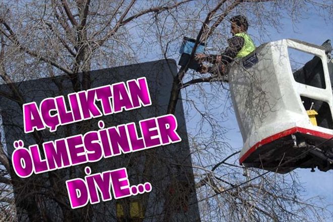 AÇLIKTAN ÖLMESİNLER DİYE...
