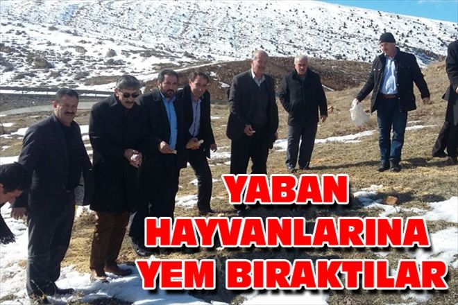 YABAN HAYVANLARINA YEM BIRAKTILAR