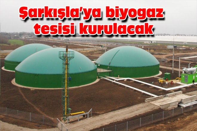 Şarkışla´ya biyogaz tesisi kurulacak