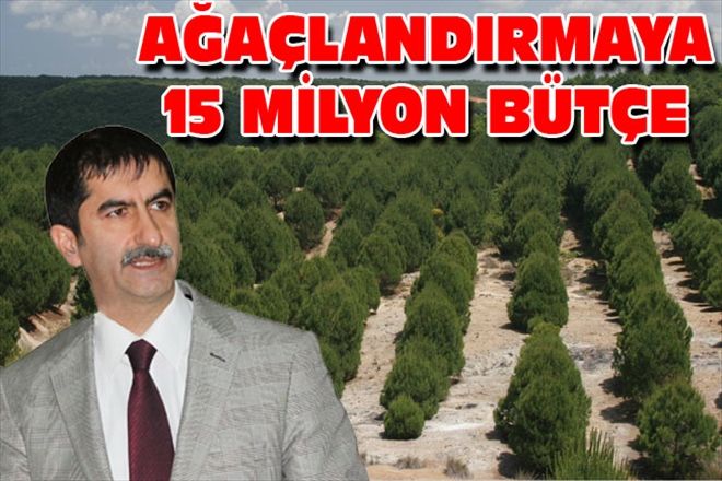 AĞAÇLANDIRMAYA 15 MİLYON BÜTÇE