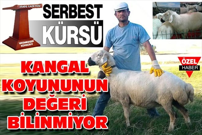KANGAL KOYUNUNUN DEĞERİ BİLİNMİYOR