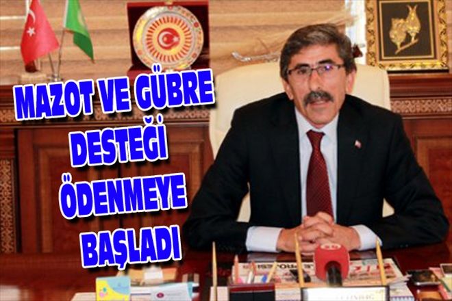 MAZOT VE GÜBRE DESTEĞİ ÖDENMEYE BAŞLADI