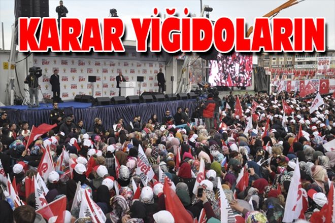 KARAR YİĞİDOLARIN