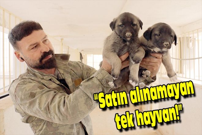 Satın alınamayan tek hayvan!