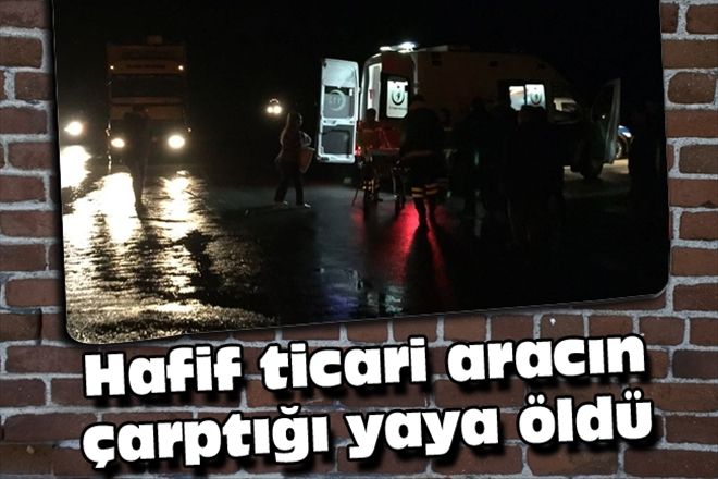 Hafif ticari aracın çarptığı yaya öldü