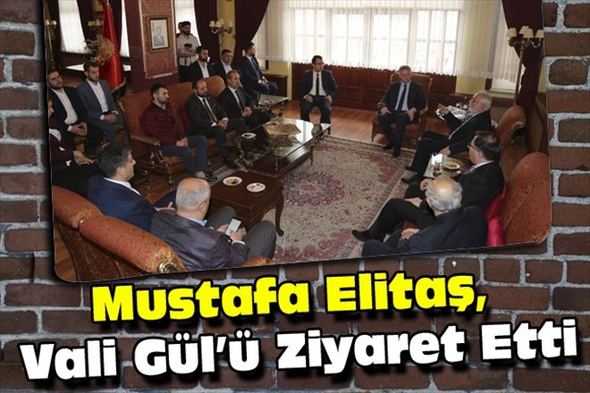 Mustafa Elitaş, Vali Gül´ü Ziyaret Etti