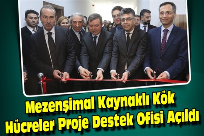 Mezenşimal Kaynaklı Kök Hücreler Proje Destek Ofisi Açıldı