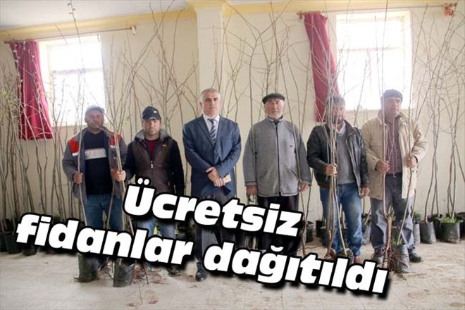 Ücretsiz fidanlar dağıtıldı