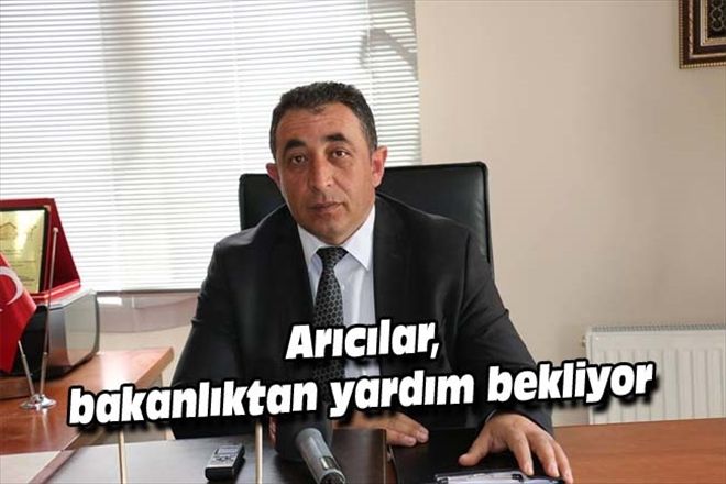 Arıcılar, bakanlıktan yardım bekliyor