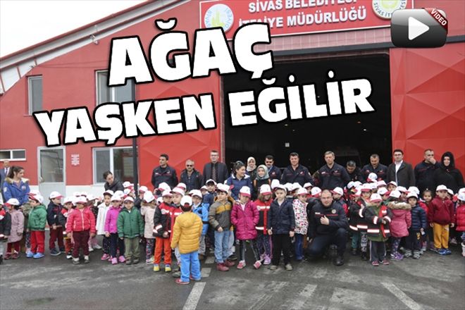 AĞAÇ YAŞKEN EĞİLİR