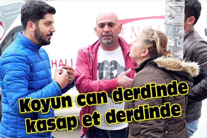 Koyun can derdinde kasap et derdinde  