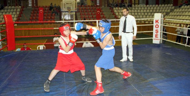 Boksörler çeyrek finalden döndü