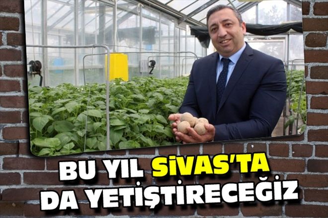 BU YIL SiVAS´TA DA YETİŞTİRECEĞİZ