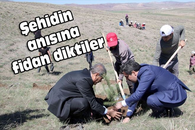 Şehidin anısına fidan diktiler