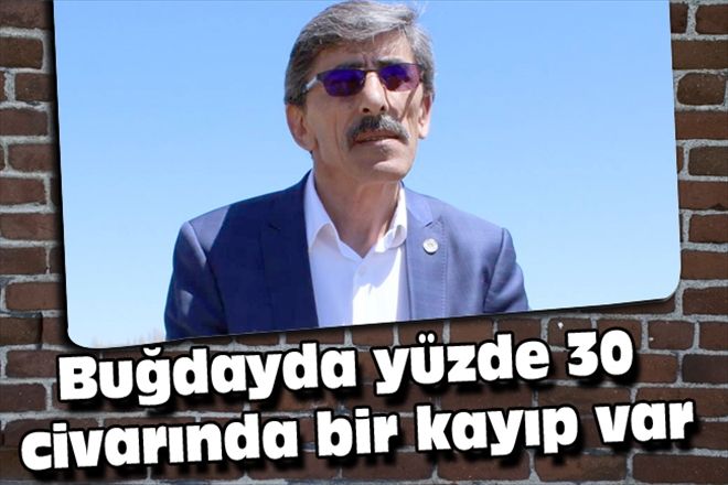 Buğdayda yüzde 30 civarında bir kayıp var