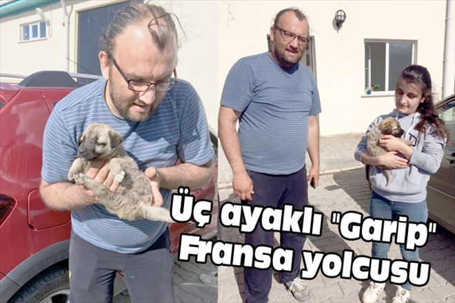 Üç ayaklı 