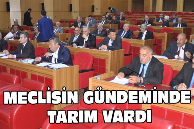 MECLİSİN GÜNDEMİNDE TARIM VARDI