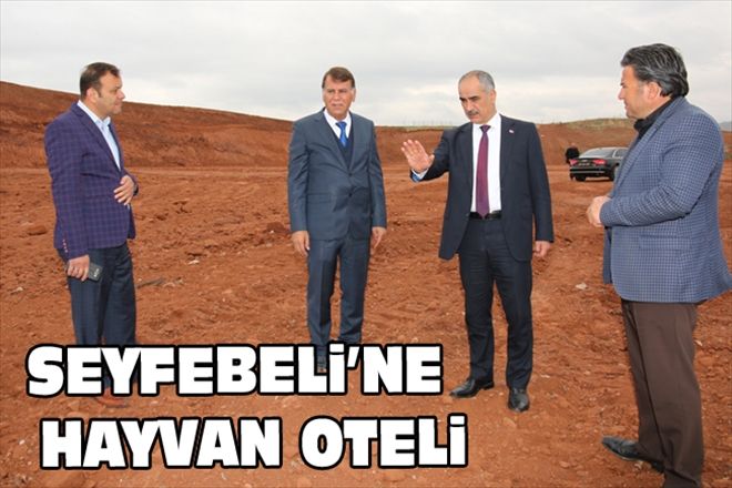 SEYFEBELi´NE  HAYVAN OTELi