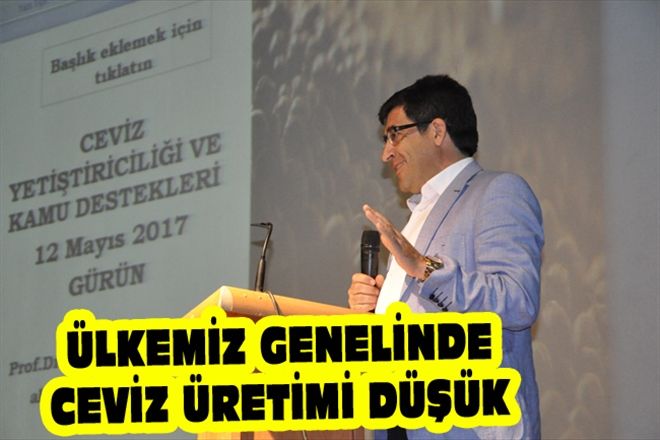 ÜLKEMİZ GENELİNDE CEVİZ ÜRETİMİ DÜŞÜK