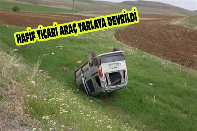 HAFİF TİCARİ ARAÇ TARLAYA DEVRİLDİ