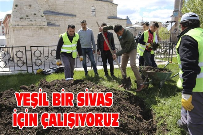 YEŞİL BİR SİVAS İÇİN ÇALIŞIYORUZ