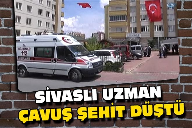 SİVASLI UZMAN ÇAVUŞ ŞEHİT DÜŞTÜ