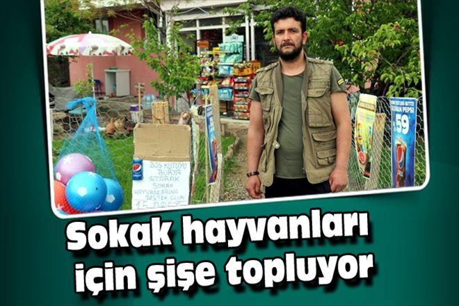 Sokak hayvanları için şişe topluyor