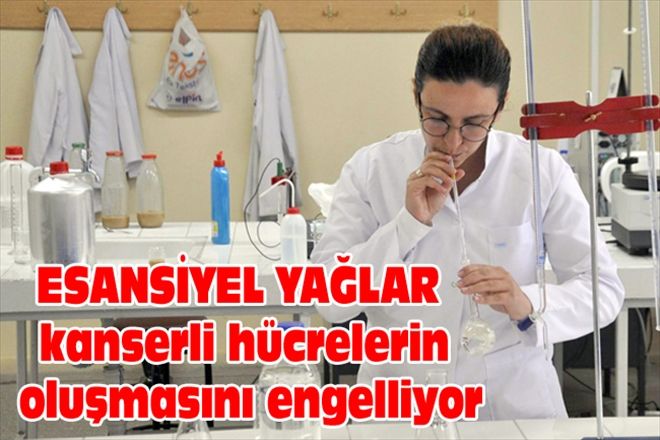 ESANSİYEL YAĞLAR  kanserli hücrelerin oluşmasını engelliyor