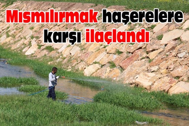Mısmılırmak  haşerelere karşı ilaçlandı