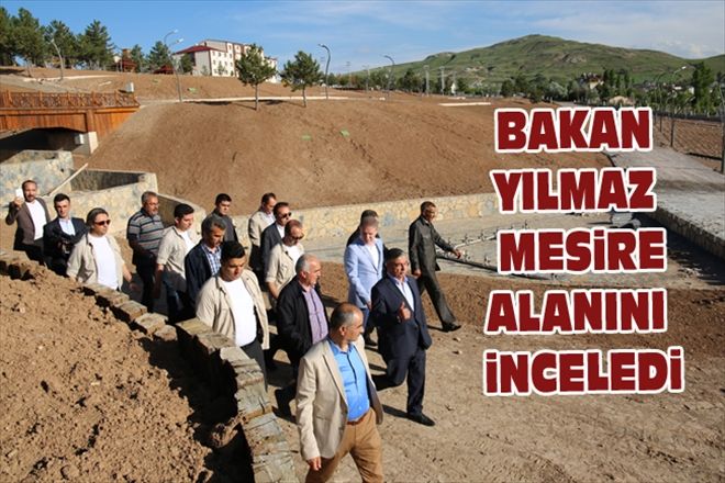 BAKAN YILMAZ MESiRE ALANINI iNCELEDi