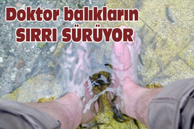 Doktor balıkların SIRRI SÜRÜYOR