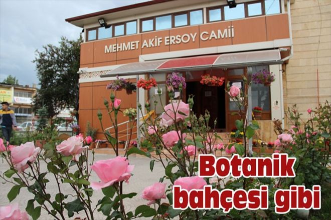 Botanik bahçesi gibi 