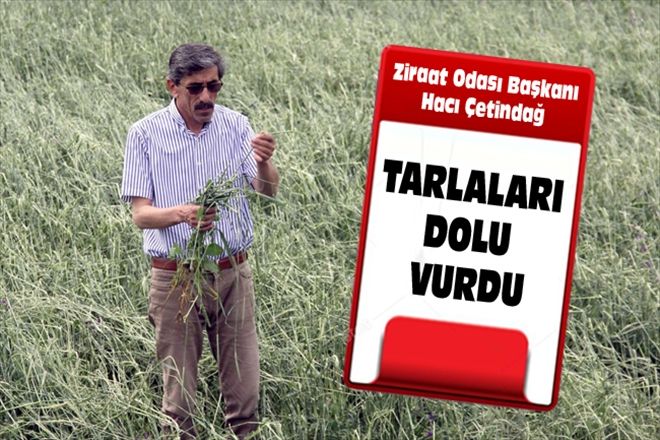 TARLALARI DOLU VURDU