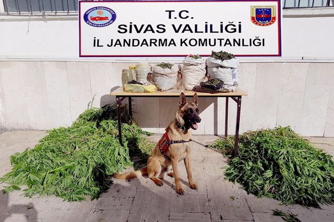 ZARA´DA UYUŞTURUCU OPERASYONU