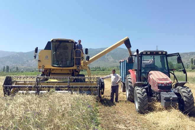ARPA HASADI BAŞLADI